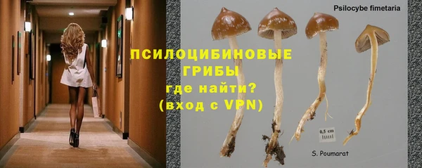 ALPHA PVP Мегион