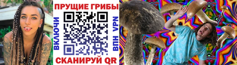 где продают наркотики  Чёрмоз  Галлюциногенные грибы GOLDEN TEACHER 